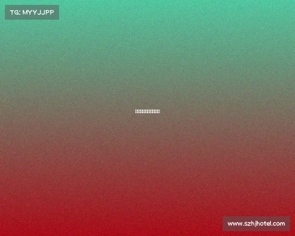 上海篮球队赛事有哪些